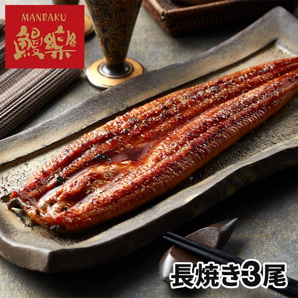 鰻楽 「鰻楽」 九州産 うなぎ蒲焼
