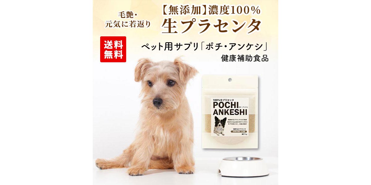 体の内側から健康に！北海道産の濃度100％生プラセンタ