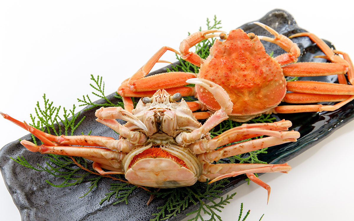 数量限定の訳あり品!「兵庫県香住産 セコガニ」一度食べるとやみつきに!?