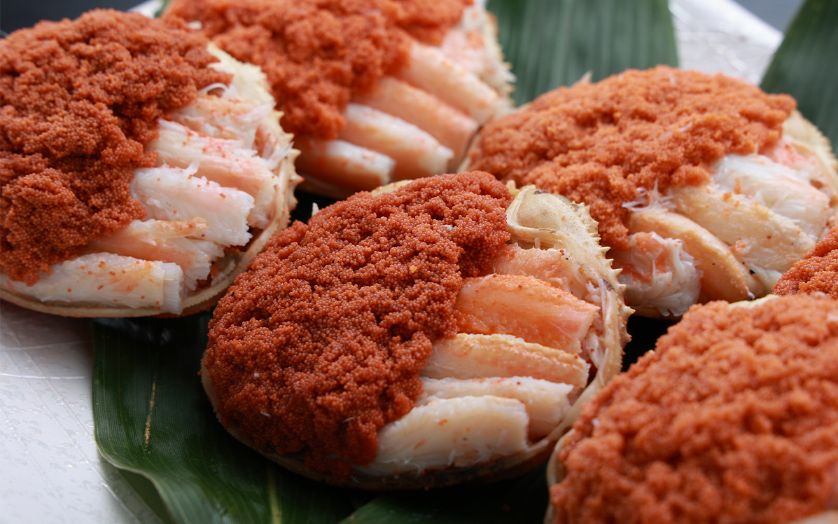 数量限定の訳あり品!「兵庫県香住産 セコガニ」一度食べるとやみつきに!?