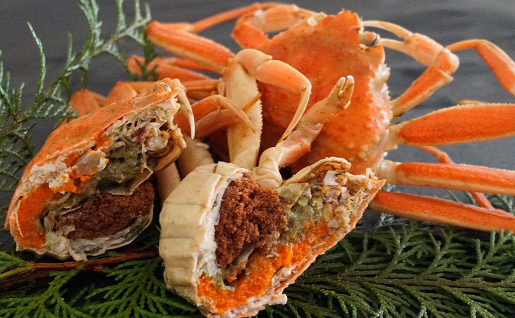 数量限定の訳あり品！「兵庫県香住産 セコガニ」一度食べるとやみつきに！？