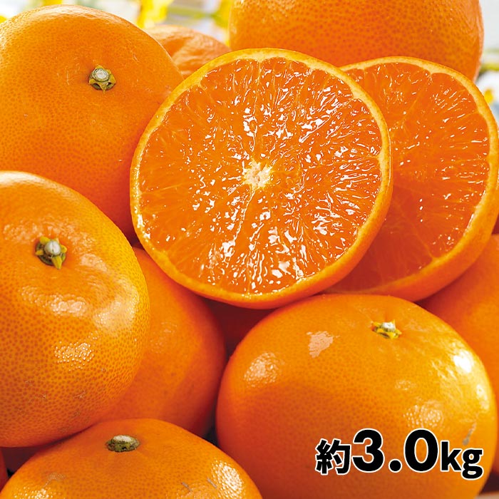 【訳あり】一品一会 愛媛県産 露地せとか 3.0kg前後 1箱：3.0kg前後（9~17玉）