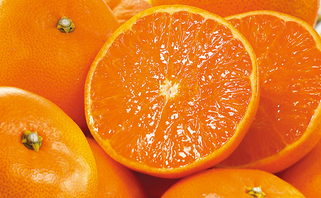 「訳あり」高級フルーツせとか 露地栽培で果汁たっぷり、まるでゼリーのような食感