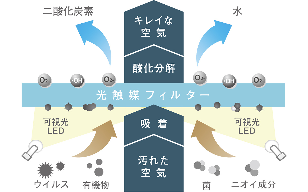 ツラい花粉症の時期・・・を快適にサポート!頼れる対策グッズ特集