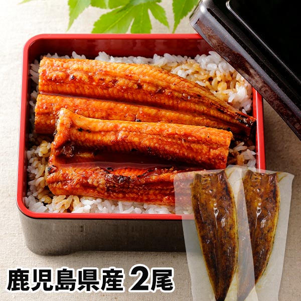 大新 鹿児島県産 こだわりうなぎ蒲焼 2尾 1セット：長焼き110g×2