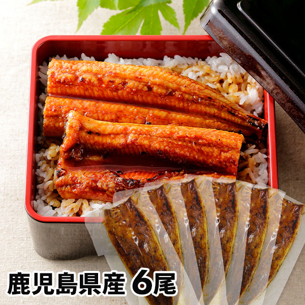 大新 鹿児島県産 こだわりうなぎ蒲焼 6尾 1セット：長焼き110g×6