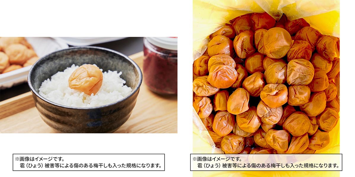 家中(いえなか)からお出かけまで。シーン別に選べる熱中症・暑さ対策アイテム特集