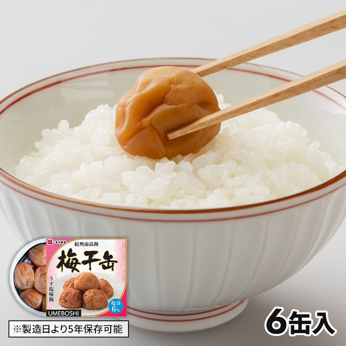 こまち食品 紀州南高梅使用 長期保存食 梅干缶 6缶 