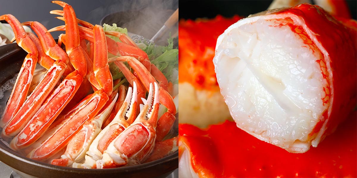 乾燥シーズン突入前に準備を!清潔・パワフルな「ガラス×スチーム」加湿器