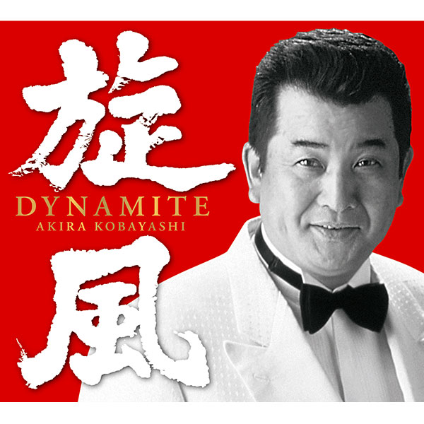 小林旭 主演 流れ者シリーズ 全19作品 レンタルDVD DVD