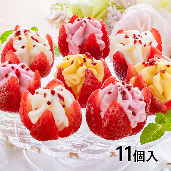 花いちごのバラエティアイス 博多あまおう 1セット （11個）