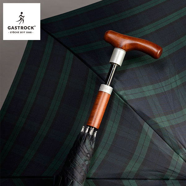 傘と一緒に使える仕込み杖 1本