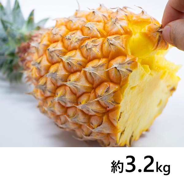 沖縄県産 スナックパイン4玉 約3.2kg（約800g×4玉)