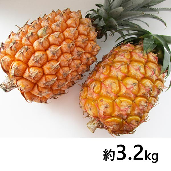 沖縄県産 スナックパイン&ピーチパイン 食べ比べセット 約3.2kg 沖縄県産 スナックパイン&ピーチパイン 食べ比べセット 約3.2kg
