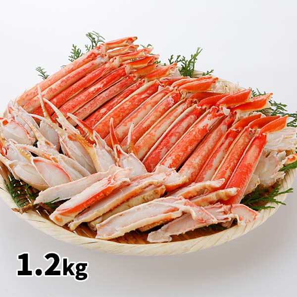 本ズワイガニ 半むき身 L~2Lサイズ ボイル 冷凍 総重量1.2kg 本ズワイガニ 半むき身 L~2Lサイズ ボイル 冷凍 総重量1.2kg