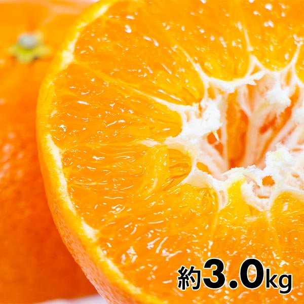 予約商品】愛媛県産 甘平 【赤秀】 12～15玉（2月～3月頃発送