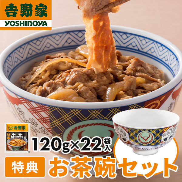 数量限定】 吉野家 牛丼の具 22袋入 茶碗セット 1セット：1袋